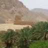 طايع الرويمي profil fotoğrafı