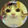 vejlivii_kot_2.0😺👽 的头像