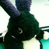 げーこちん 的头像
