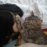 Onur profil fotoğrafı