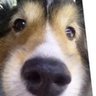Profilbild von TDOD