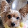 Mammyð's profile picture