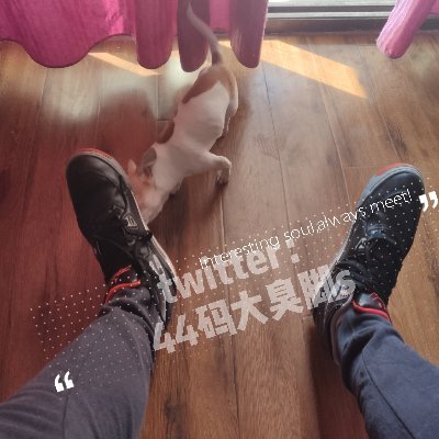 bR9D9dTddNf23qI's profile picture