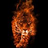 ابن محمد's profile picture