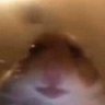 Profilbild von UwU