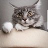 KAIRI profil fotoğrafı