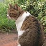 じゅん profil fotoğrafı