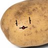 Sasha Potato profil fotoğrafı