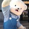 謎の人's profile picture