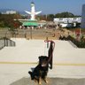 Yuko Shiba profil fotoğrafı