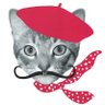 Фото профиля TheCatWithMustache
