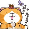Profilbild von 阿富@台湾