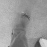 Profilbild von Bee