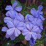 Фото профиля Ysa