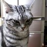 Profilbild von つむぎ