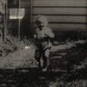 Little Nomad's profile picture