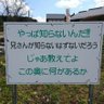 MM2アレイ profil fotoğrafı