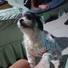 Profilbild von Mahiwagang Babae