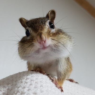 mg lee's profile picture