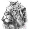 Profilbild von Nawzad Aldalwi