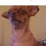 Profilbild von Obvious legit