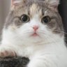 aaa profil fotoğrafı