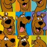 Chris's profile picture