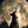 Фото профиля Howler44