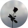 حٍصة الُقحٍطُانيَ .. 🇸🇦's profile picture