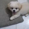 Caboh11's profile picture
