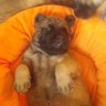 Wileywench💙's profile picture