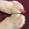 yukity 的头像
