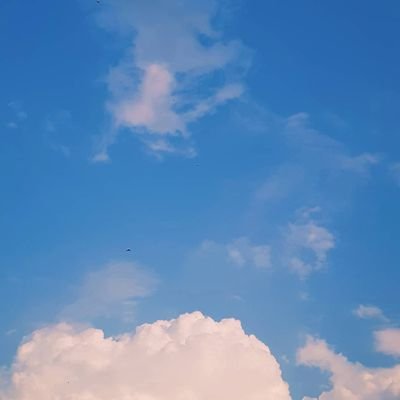 تغذية قرآنيّة🌿.'s profile picture