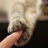 Hanan _76 的头像