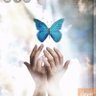 Фото профиля Butterfly