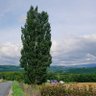 chaff profil fotoğrafı