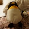 Profilbild von 伯爵ペンギン🐧👍