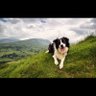 Фото профиля María Sandoval 🐩