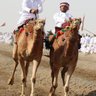 مجرح المجرح 的头像