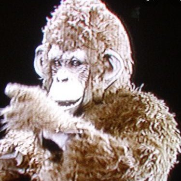 Juanma7115's profile picture
