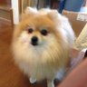 タジ@'s profile picture