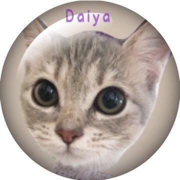 ダイヤ王子✩⡱'s profile picture