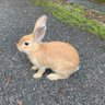 みっきー's profile picture