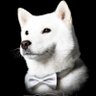 yuri's profile picture