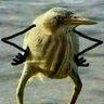 ShiftCognit's profile picture