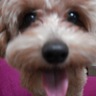 じょるの。 profil fotoğrafı