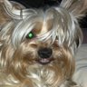 Faina's profile picture