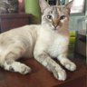 Analรญa's profile picture