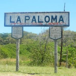 nacionalofila's profile picture