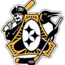 Pittsburgh Sports Guy ็ๅคดๅ